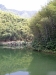 Bamboo Forest, Huangshan, Anhui province